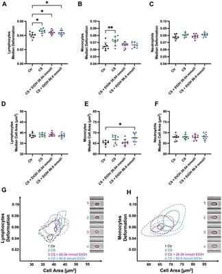 Pilot study on the influence of acute alcohol exposure on biophysical parameters of leukocytes